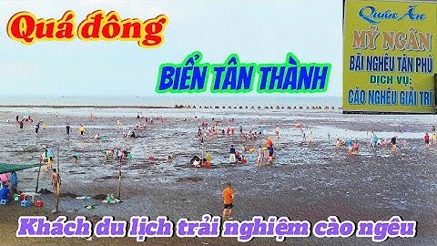 Quá đông khách du lịch trải nghiệm cào ngêu tại Biển Tân Thành Gò Công.