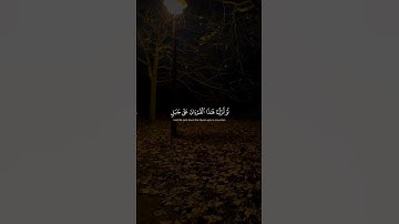 لَو أَنزَلنا هذَا القُرآنَ عَلى جَبَلٍ | محمد صديق المنشاوي | سورة الحشر