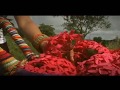 Adriana Lucia - Champeta Rosa (Video Oficial)