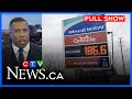 Ottawa gas prices could rise to $2 per litre | CTV News Ottawa at Six for Tuesday, April 7, 2026
