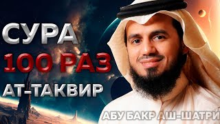 Сура Ат-Таквир 100 РАЗ - Абу Бакр Аш-Шатри