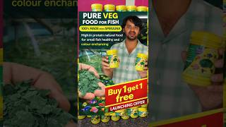 Best Natural Fish Food! 100% Spirulina Veg Diet + Launch Offer 🎉