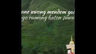 Story WA Boso Keren Bahasa Osing Banyuwangi