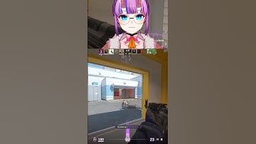 what the goat happened | #rustyclaudia on #Twitch #vtuber #cs2