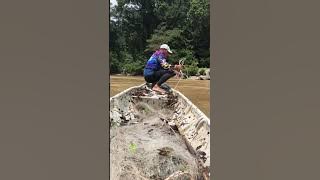 jeram bio antara jeram yang bahaya di sungai jelai kuala lipis