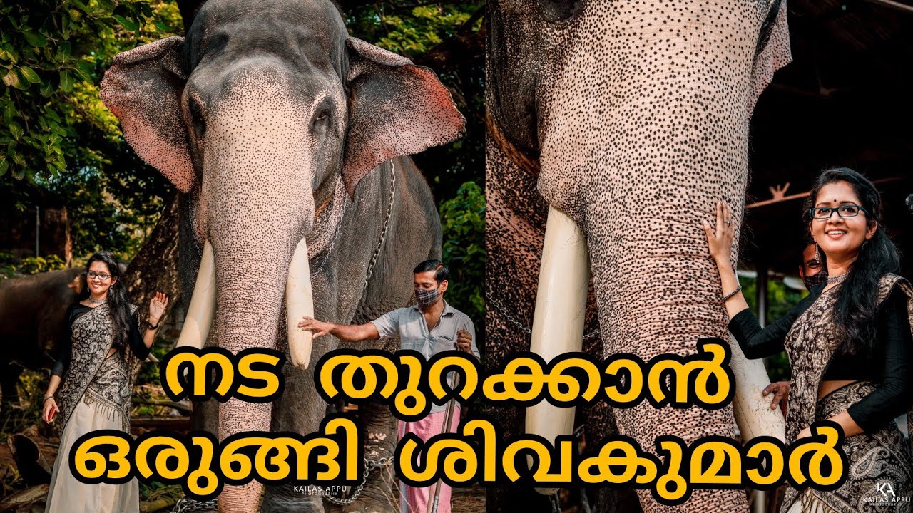 നട തുറക്കാൻ ഒരുങ്ങി ശിവകുമാർ|പൂര വിളംബരം|sarisway