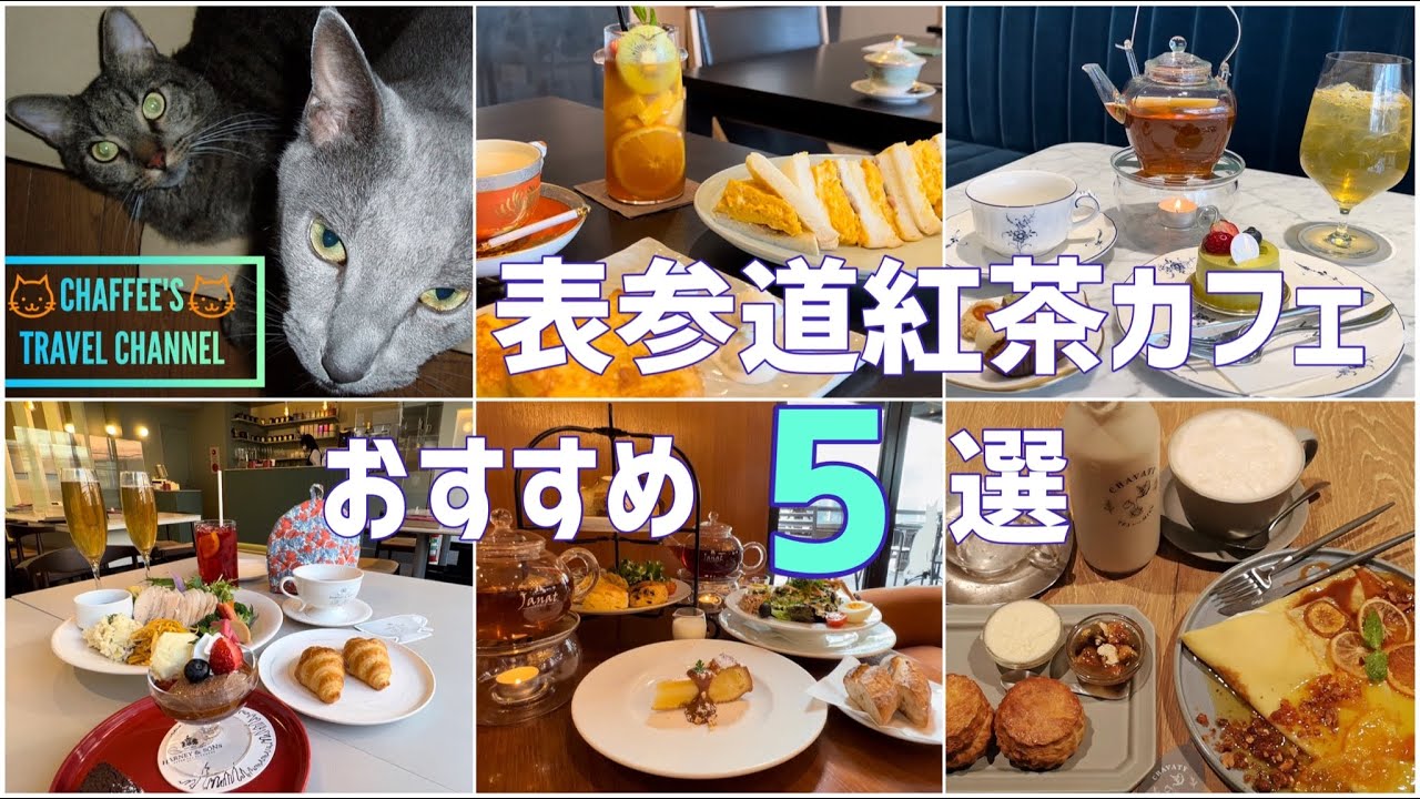 表参道紅茶カフェ おすすめ5選 Omotesando Tea Cafe 紅茶専門店 Tokyo Japan Chaffee S Travel Channel Youtube 表参道紅茶カフェ おすすめ5選 Omotesando Tea Cafe 紅茶専門店 Tokyo Japan Chaffee S Travel Channel Youtube
