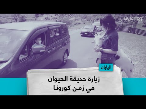 زيارة حديقة الحيوان في زمن كورونا