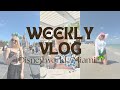 Weekly vlog Disney world /Miami