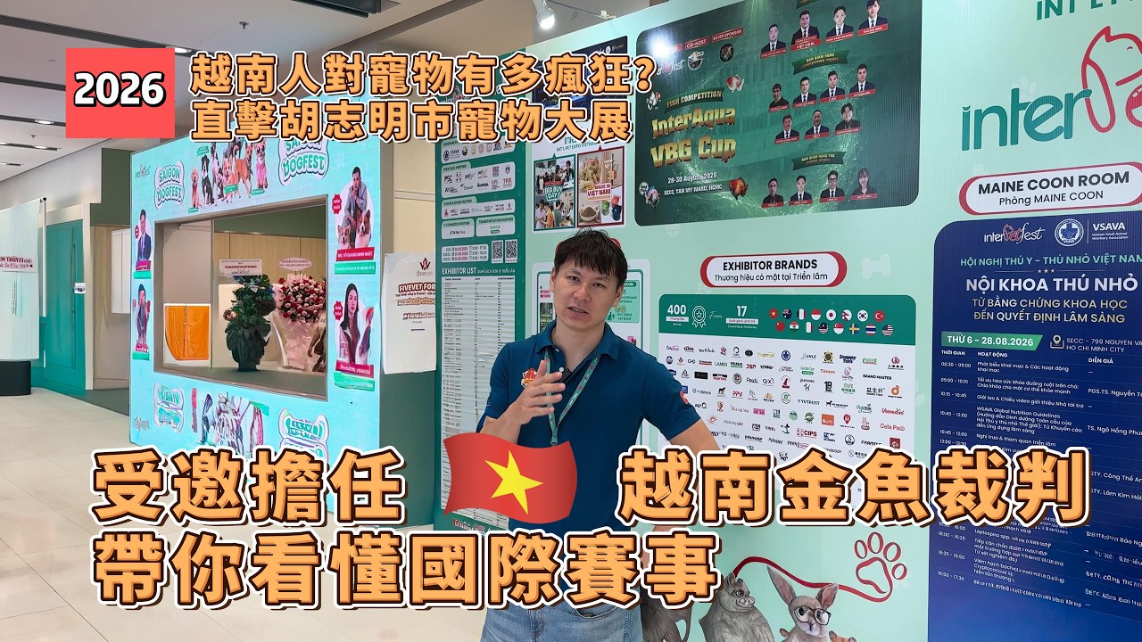 榮幸受邀擔任2026越南金魚大賽裁判,這次順便要帶大家一起來看看胡志明市的寵物展有多盛大。#金魚比賽 #金魚 #蘭壽 縮圖