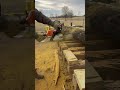 Stihl MS 261c vs  Hard Hedge Logs