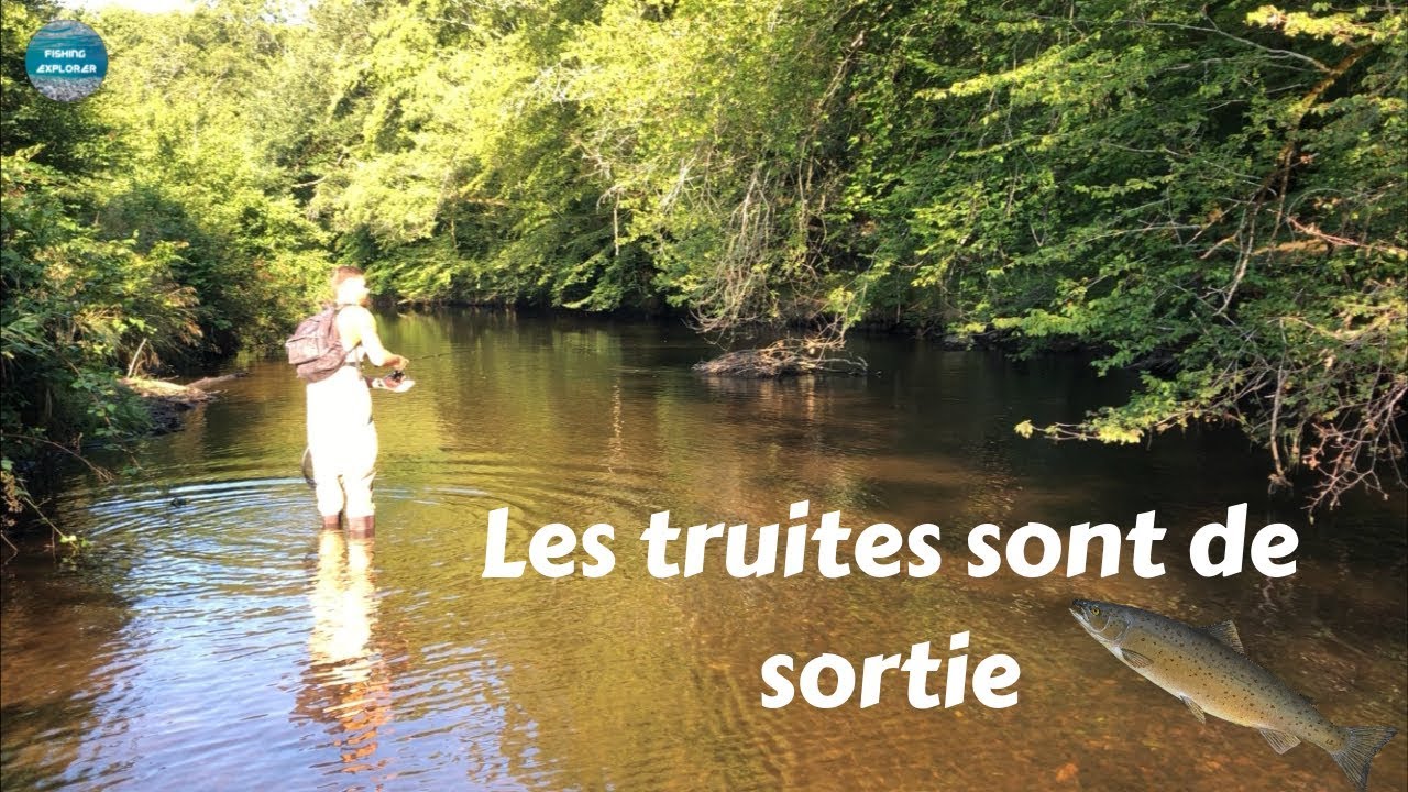 PÊCHE DE LA TRUITE SUR LA VIENNE