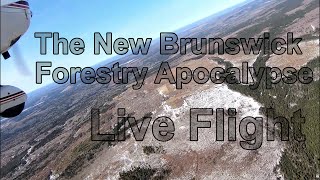 The New Brunswick Forestry Apocalypse: Live Flight #clearcutting #newbrunswick