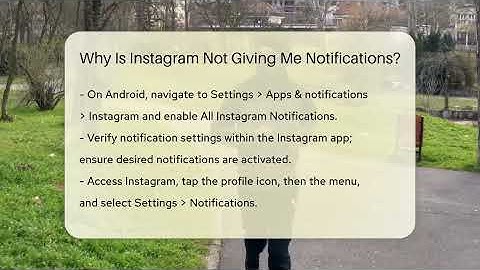 Why Is Instagram Not Giving Me Notifications? - Everyday-Networking