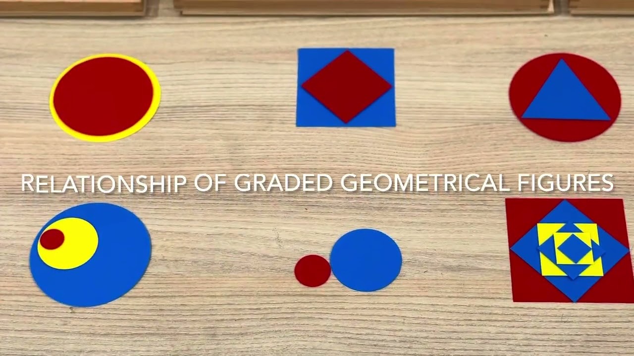 Graded Geometric Figures Montessori Sensorial Lesson I AMI approach
