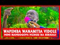 Siri Nzito Dume La Ng Ombe Hudindi Me Naogopa Serikali Na Mungu Sishindwi Kitu Siri Nzito Dume La Ng Ombe Hudindi Me Naogopa Serikali Na Mungu Sishindwi Kitu