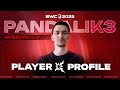 [PLAYER PROFILE] PANDALIK3 | SWC2025 AMERICAS CUP | Summoners War