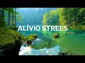 MÚSICA RELAXANTE PARA ACAMAR A MENTE / STRESS /ANSIEDADE