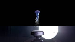 Blender Jellyfish Turntable