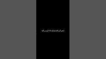 #القران_الكريم #سورة_آل_عمران #ياسرالدوسري #كرومات الآيات 196 _ 198