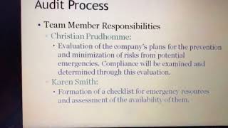 SATC 420 Audit Plan PowerPoint Briefing