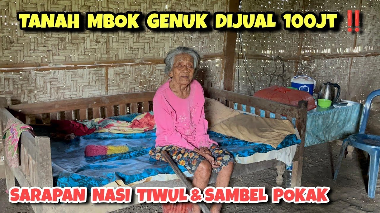 Pembeli tanah Mbok Genuk harus mau merawatnya ‼️ Sarapan nasi tiwul hitam & sambel pokak