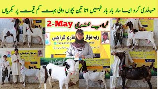 Rabnawz goat farm visit latest update| 2-May-2024| bakra mandi qurbani 2024| lalukhet mandi,
