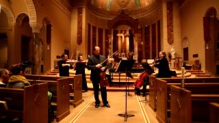 Telemann: Viola Concerto in G Major - HD