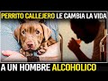Un Hombre Alcohólico Adopta A Un Perrito Callejero Sin Saber Que Le Iba A Cambiar La Vida