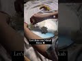 Diy handmade nikah mirror | Muslim wedding | gifting items | reveal