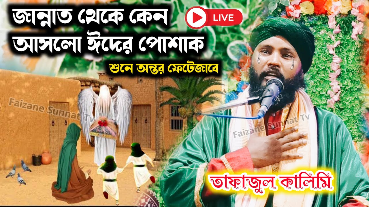 ইমাম হাসান ও হুসাইনের জীবনী | 🔴 lIve | Tafajul Kalimi Jiboni