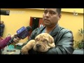 Así fue la adopción de mascotas rescatadas en el Centro de Lima