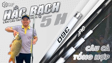 Trải Nghiệm Cần Tay GUF Hắc Bạch 5H - 28i | Câu Tổng Hợp Tự Nhiên & Dịch Vụ