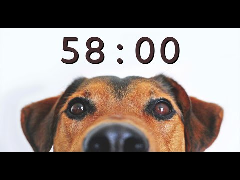58 Minute Timer For School And Homework - Dog Bark Alarm Sound