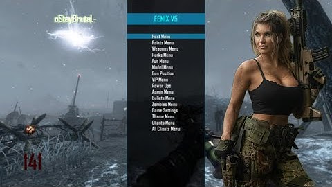 BLACK OPS 2 FENIX V5 GSC MOD MENU ZOMBIES CFW PS3
