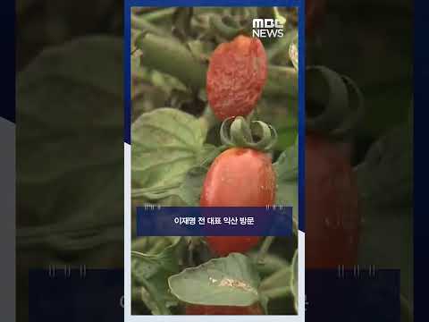 <strong>특별재난지역</strong> 촉구 #Shorts (MBC뉴스)