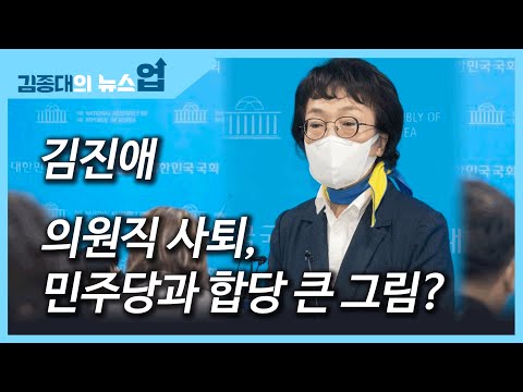 김진애 의원직 사퇴, 민주당과 합당 큰 그림?