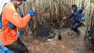 MONSTER REPTIL RAWA MENAKUTKAN, DAN PESTA IKAN BESAR PULUHAN KG.. !! BERSAMA FFA..