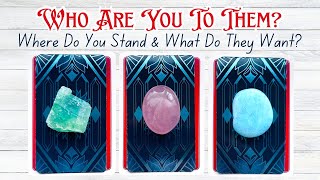 Who Are You To Them? Where Do You Stand & What Do They Want? Pick a Card Love Reading 
