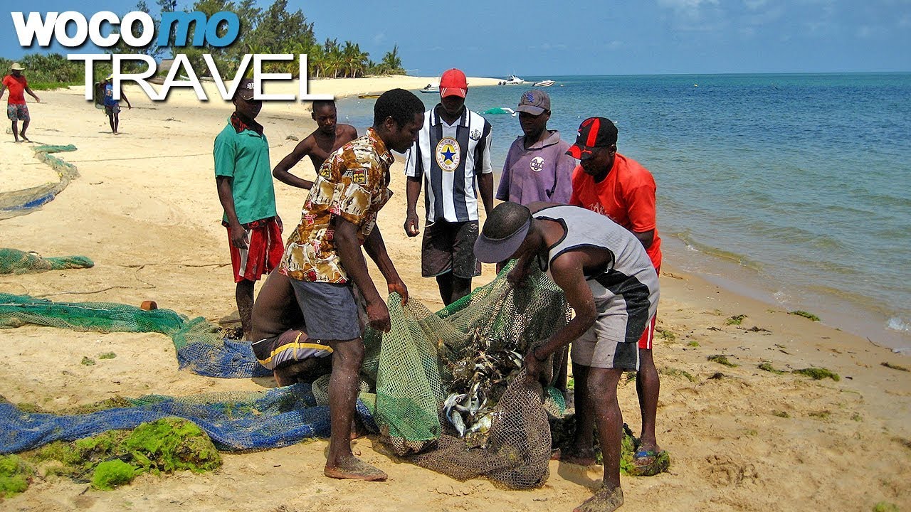 Seegraswiesen in Mosambik | Gärten der Meere, Teil 1 (Dokumentation, 2008)