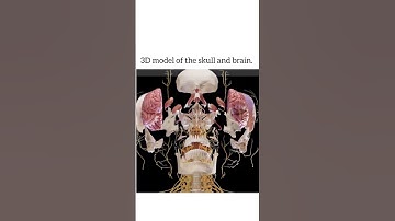 #biotechnology #bioinformatics #genomics #proteomics #computationalbiology