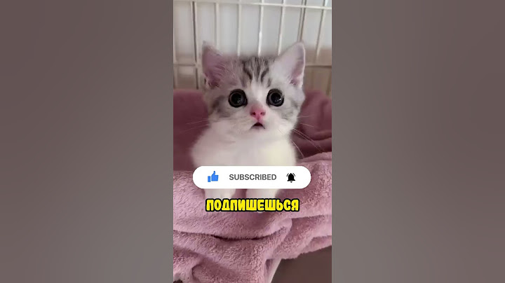 Сестра не спасла… 😳
