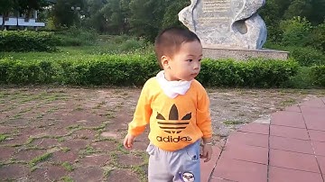 Khám phá Không gian Văn hóa Trà Tân Cương | Exploring Vietnam