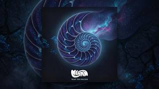 NISAN - Trust the process (Original mix)