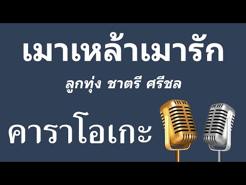 ♫ • เมาเหล้าเมารัก • ลูกทุ่ง ชาตรี ศรีชล「คาราโอเกะ」