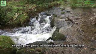 Water quality in Connemara - Moycullen Series