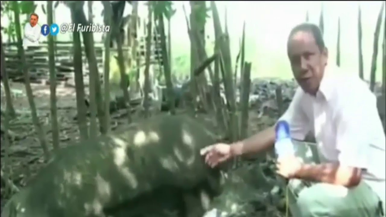 de-que-me-hablas-viejo-ivan-duque-video-chistoso-youtube