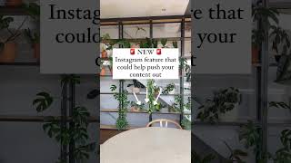 New Instagram feature that could help you get more reach (Read description) 🆕