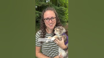 🚨❌ESCAPE-PROOF CAT HARNESS?❌🚨