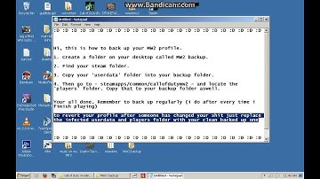 MW2 profile backup  working 2013